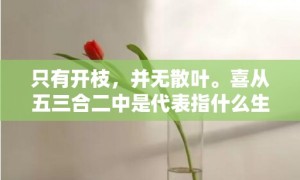 只有开枝，并无散叶。喜从五三合二中是代表指什么生肖，成语释义解释落实