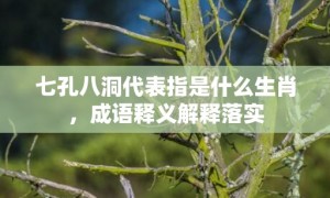 七孔八洞代表指是什么生肖，成语释义解释落实