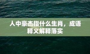 人中豪杰指什么生肖，成语释义解释落实