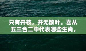 只有开枝，并无散叶。喜从五三合二中代表哪些生肖，成语释义解释落实