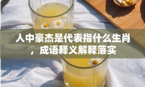 人中豪杰是代表指什么生肖，成语释义解释落实