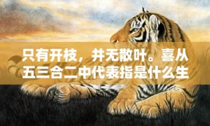 只有开枝，并无散叶。喜从五三合二中代表指是什么生肖，成语释义解释落实