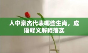 人中豪杰代表哪些生肖，成语释义解释落实