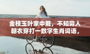 金枝玉叶家中戴，不知穷人朝衣穿打一数字生肖词语，成语释义解释落实