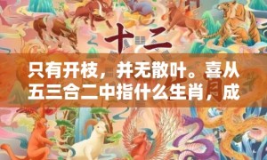 只有开枝，并无散叶。喜从五三合二中指什么生肖，成语释义解释落实