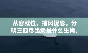 从容就位，捕风捉影。分明三四尽出场是什么生肖，成语释义解释落实