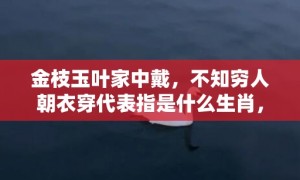 金枝玉叶家中戴，不知穷人朝衣穿代表指是什么生肖，成语释义解释落实