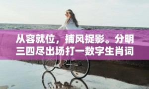 从容就位，捕风捉影。分明三四尽出场打一数字生肖词语，成语释义解释落实