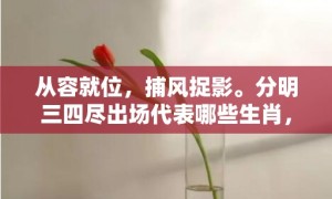 从容就位，捕风捉影。分明三四尽出场代表哪些生肖，成语释义解释落实