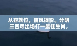 从容就位，捕风捉影。分明三四尽出场打一最佳生肖，成语释义解释落实