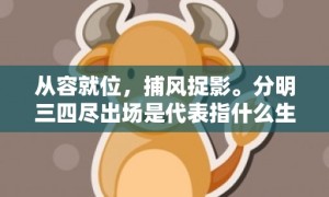 从容就位，捕风捉影。分明三四尽出场是代表指什么生肖，成语释义解释落实