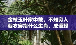 金枝玉叶家中戴，不知穷人朝衣穿指什么生肖，成语释义解释落实