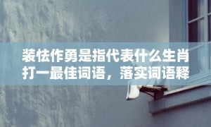 装怯作勇是指代表什么生肖打一最佳词语，落实词语释义解释