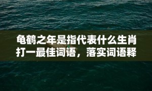 龟鹤之年是指代表什么生肖打一最佳词语，落实词语释义解释