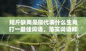 短斤缺两是指代表什么生肖打一最佳词语，落实词语释义解释