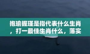 抱瑜握瑾是指代表什么生肖，打一最佳生肖什么，落实词语释义解释