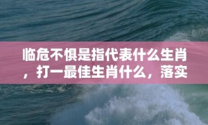 临危不惧是指代表什么生肖，打一最佳生肖什么，落实词语释义解释