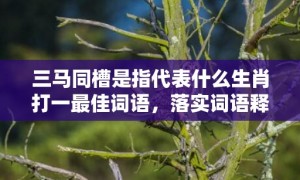 三马同槽是指代表什么生肖打一最佳词语，落实词语释义解释