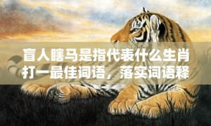 盲人瞎马是指代表什么生肖打一最佳词语，落实词语释义解释