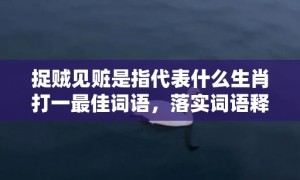 捉贼见赃是指代表什么生肖打一最佳词语，落实词语释义解释