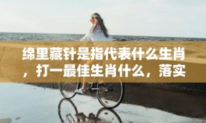 绵里藏针是指代表什么生肖，打一最佳生肖什么，落实词语释义解释