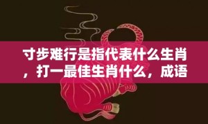 寸步难行是指代表什么生肖，打一最佳生肖什么，成语解释落实释义