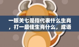 一眼关七是指代表什么生肖，打一最佳生肖什么，成语解释落实释义