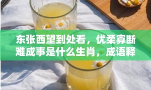 东张西望到处看，优柔寡断难成事是什么生肖，成语释义解释落实