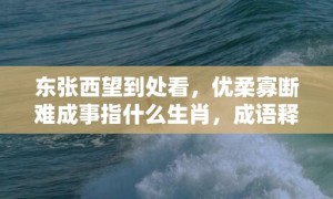 东张西望到处看，优柔寡断难成事指什么生肖，成语释义解释落实