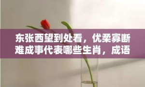 东张西望到处看，优柔寡断难成事代表哪些生肖，成语释义解释落实