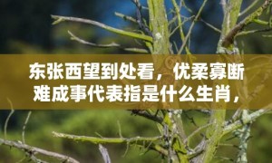 东张西望到处看，优柔寡断难成事代表指是什么生肖，成语释义解释落实