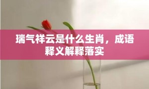 瑞气祥云是什么生肖，成语释义解释落实