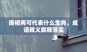 摸棱两可代表什么生肖，成语释义解释落实