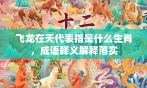 飞龙在天代表指是什么生肖，成语释义解释落实