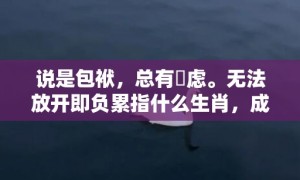 说是包袱，总有掛虑。无法放开即负累指什么生肖，成语释义解释落实