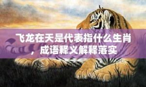 飞龙在天是代表指什么生肖，成语释义解释落实