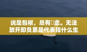 说是包袱，总有掛虑。无法放开即负累是代表指什么生肖，成语释义解释落实