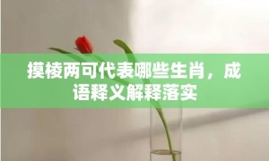 摸棱两可代表哪些生肖，成语释义解释落实