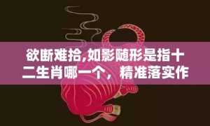 欲断难拾,如影随形是指十二生肖哪一个，精准落实作答释义