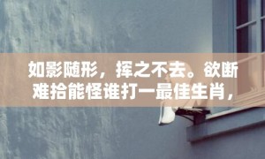 如影随形，挥之不去。欲断难拾能怪谁打一最佳生肖，成语释义解释落实