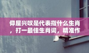 仰屋兴叹是代表指什么生肖，打一最佳生肖词，精准作答落实释义