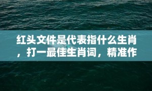 红头文件是代表指什么生肖，打一最佳生肖词，精准作答落实释义