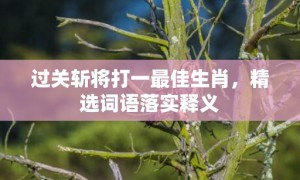 过关斩将打一最佳生肖，精选词语落实释义