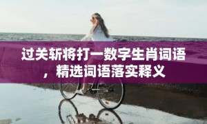 过关斩将打一数字生肖词语，精选词语落实释义