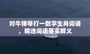 对牛弹琴打一数字生肖词语，精选词语落实释义