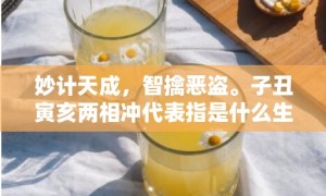 妙计天成，智擒恶盗。子丑寅亥两相冲代表指是什么生肖，精选词语落实释义