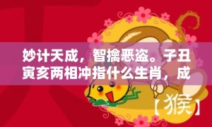 妙计天成，智擒恶盗。子丑寅亥两相冲指什么生肖，成语释义解释落实