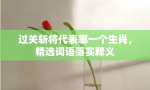 过关斩将代表哪一个生肖，精选词语落实释义