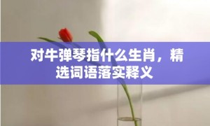 对牛弹琴指什么生肖，精选词语落实释义