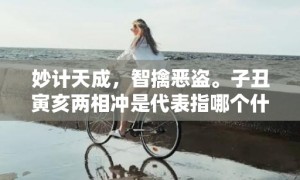 妙计天成，智擒恶盗。子丑寅亥两相冲是代表指哪个什么生肖，成语释义解释落实